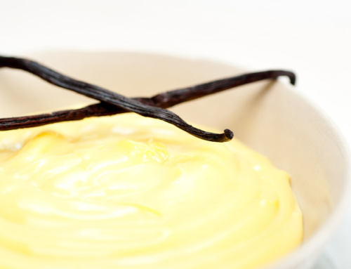 Custard Cream Vanilla