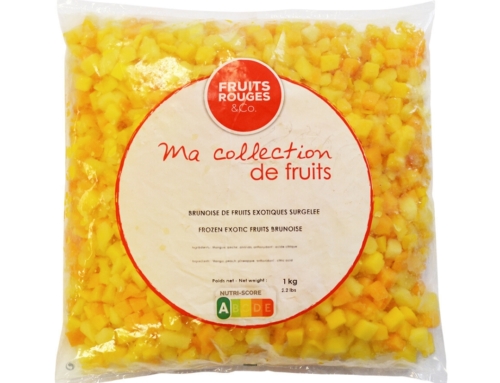 Frozen Mix Exotic Fruit ( Mango, Pineapple Dice 10×10) 1kg