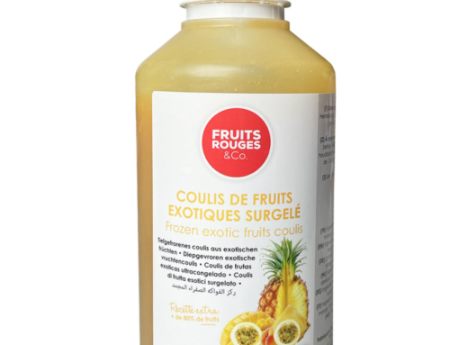 Frozen Coulis Exotic Fruit 19% 500g Bottle