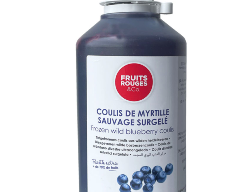 Frozen Coulis Blueberries 17% 500g Bottle